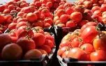  کاهش 20درصدی قیمت گوجه‌فرنگی